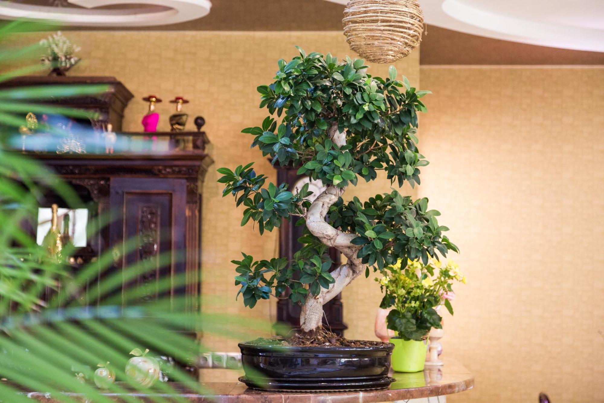 Villa Fenix ベレホヴェ エクステリア 写真